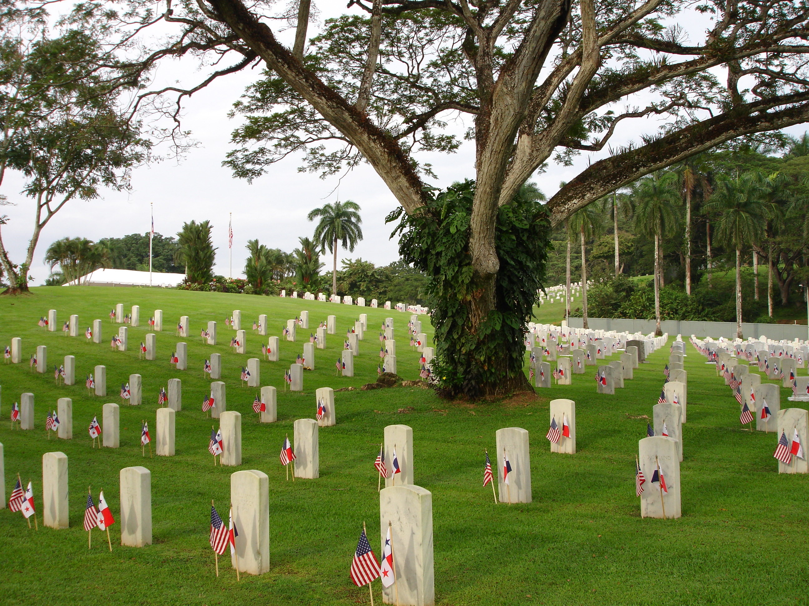 American and Panamanian flags are placed in front of every headstone at Corozal American Cemetery for Veterans Day. 