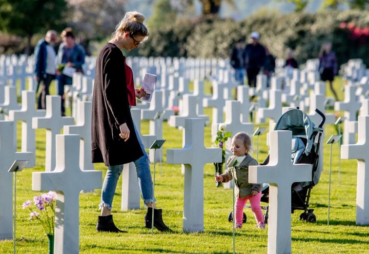A toddler carries a white rose, amidst the headstones. 