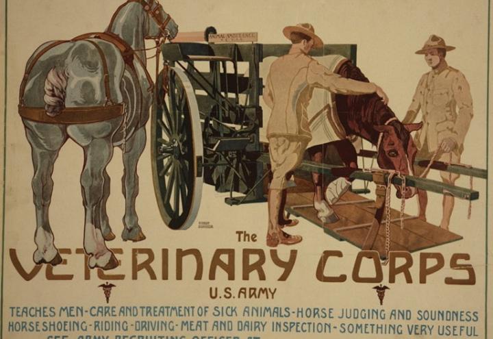 Historic WWI poster shows men with horse and wagon.