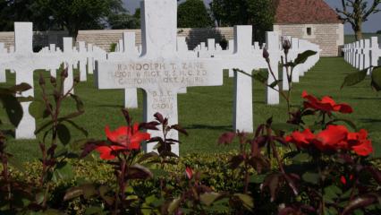 Rose Bushes at Somme American Cemetery