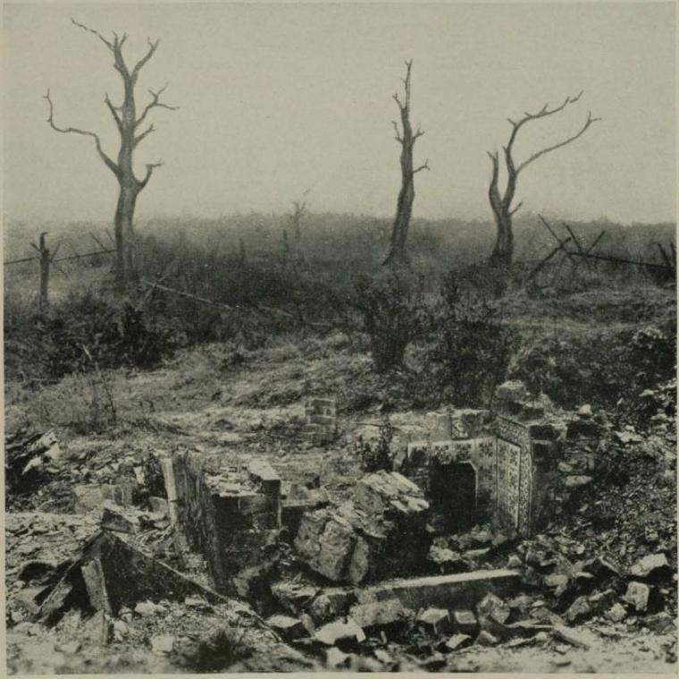 Historic image showing the decimated ground of no man's land. 