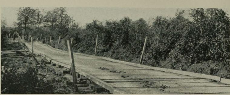 Historic image showing road made of wooden planks. 