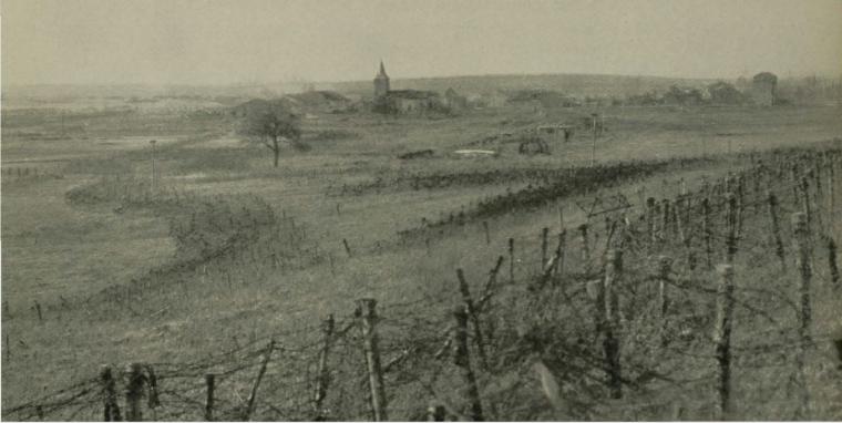 Historic image showing barbed wire-filled terrain. 