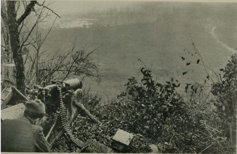 Historic image showing machine gun firing amongst brush. 