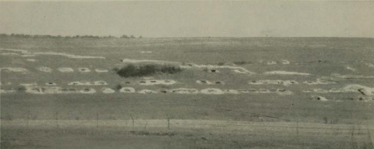 Historic image showing fox holes in the distance. 