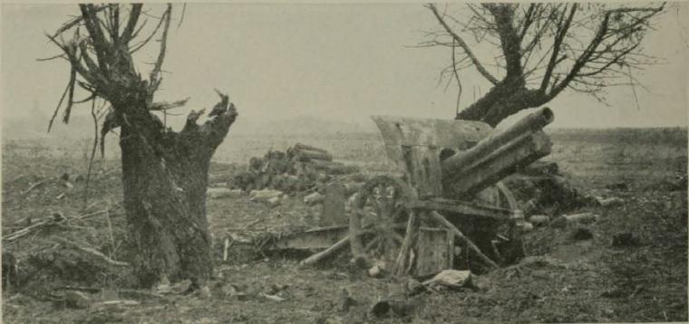 Historic image showing German artillery in a decimated landscape.