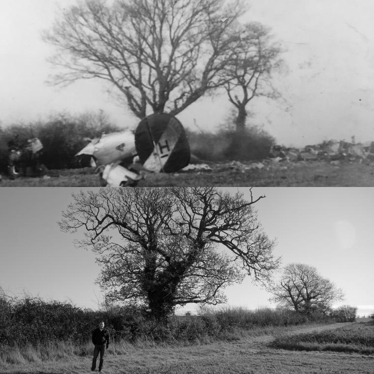 Two images on top of each other. Both show same tree. Top image shows crashed plane and bottom image shows man standing near crash location.